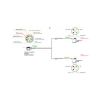 FAISCEAU 13 BROCHES LONG 7M (AJBA)