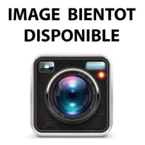 JANTE 10" 6J10 5 TROUS PERCAGE 112 X 5 DEPORT 0 (stock uniquement)