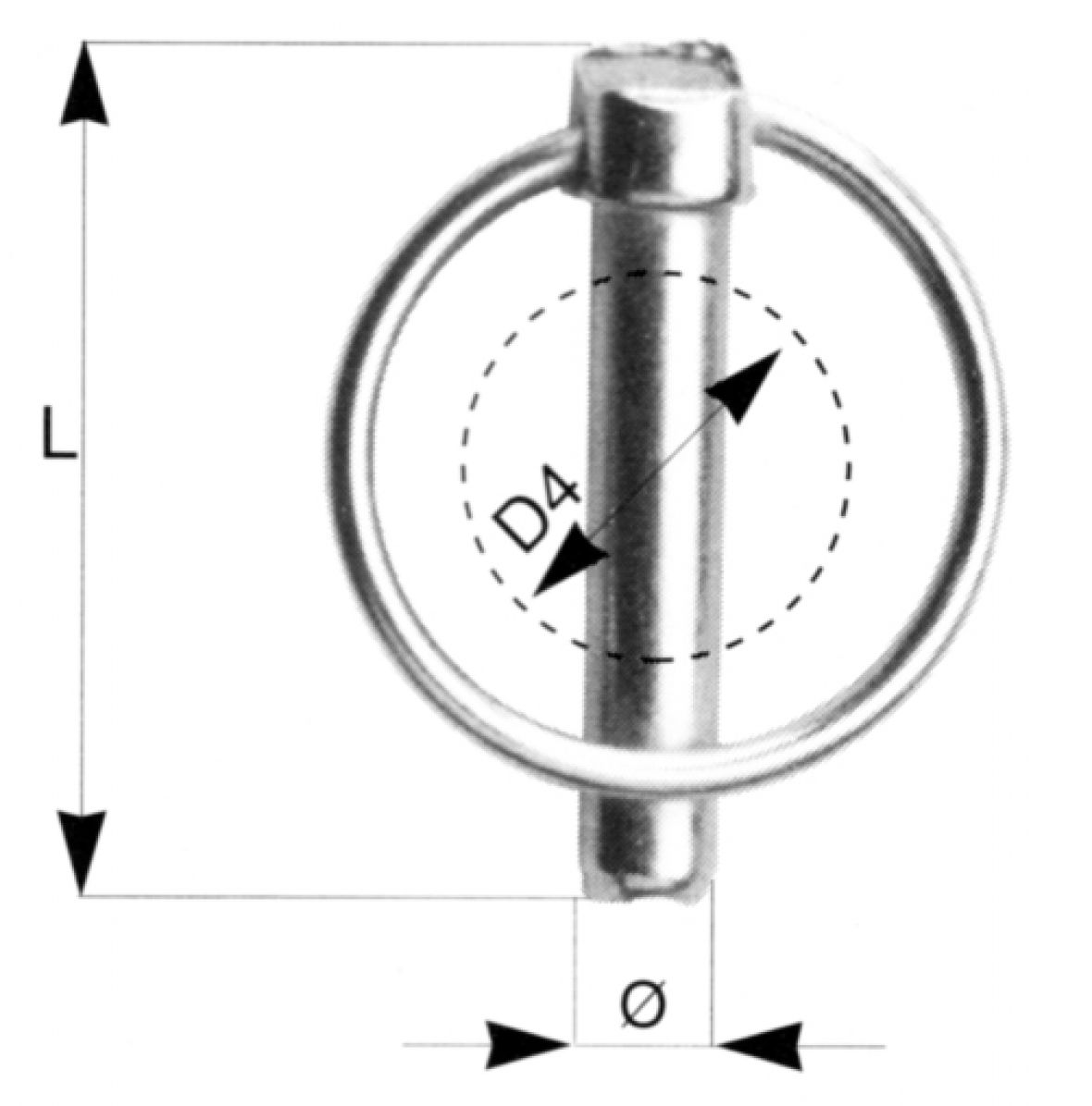 Klappsplint — Ø: 10 mm; L: 45 mm; D4 max.: 32 mm; C max.: 14 mm Knott 407807.005