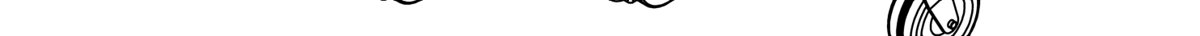 Roue jockey renforcée Ø60 Trigano T2410023