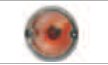 Clignotant / Cat.2a BL 710 12 V (clignotant) Jokon 13.1031.500